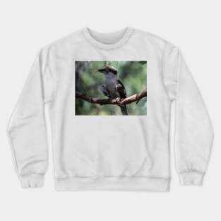 Cheeky Kookaburra Crewneck Sweatshirt